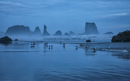 Early Morning on Oregon Coast