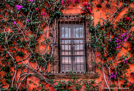 ~ ~ DECORATED WINDOW ~ ~ 