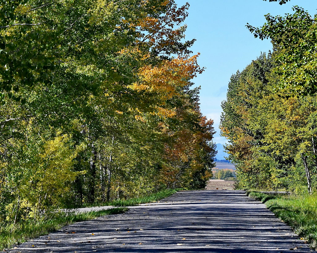 A Country Road