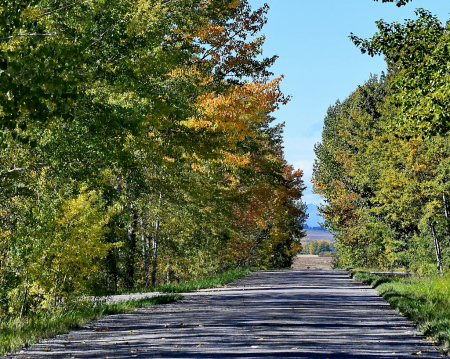 A Country Road