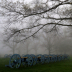 2Valley Forge - Cannons in Fog 2 - ID: 15746007 © Cynthia Underhill