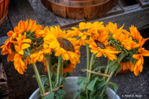 September 2019 Photo Contest 2nd Place Prize Winner