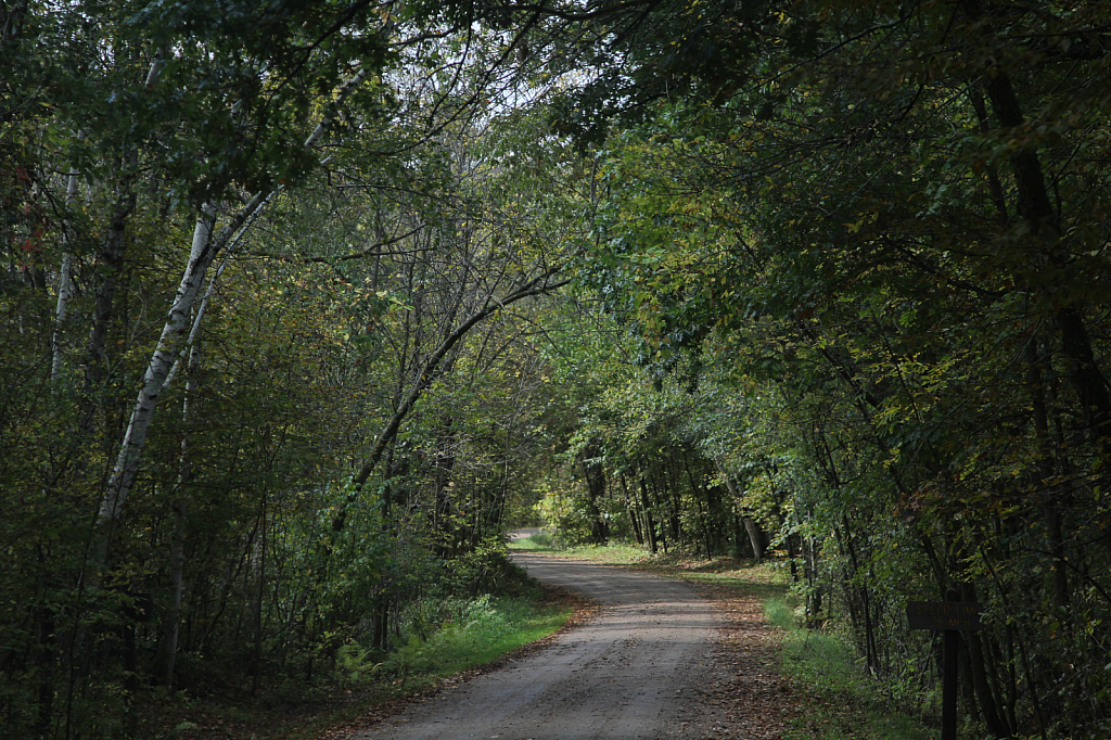 Country Road in September