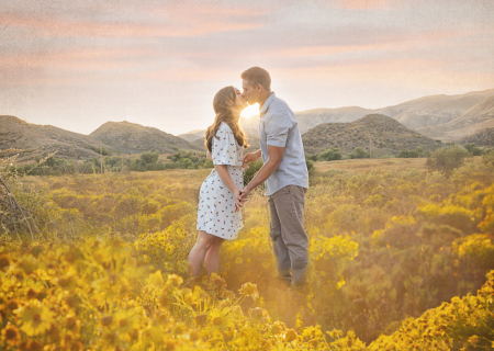 Sunset in the Meadow