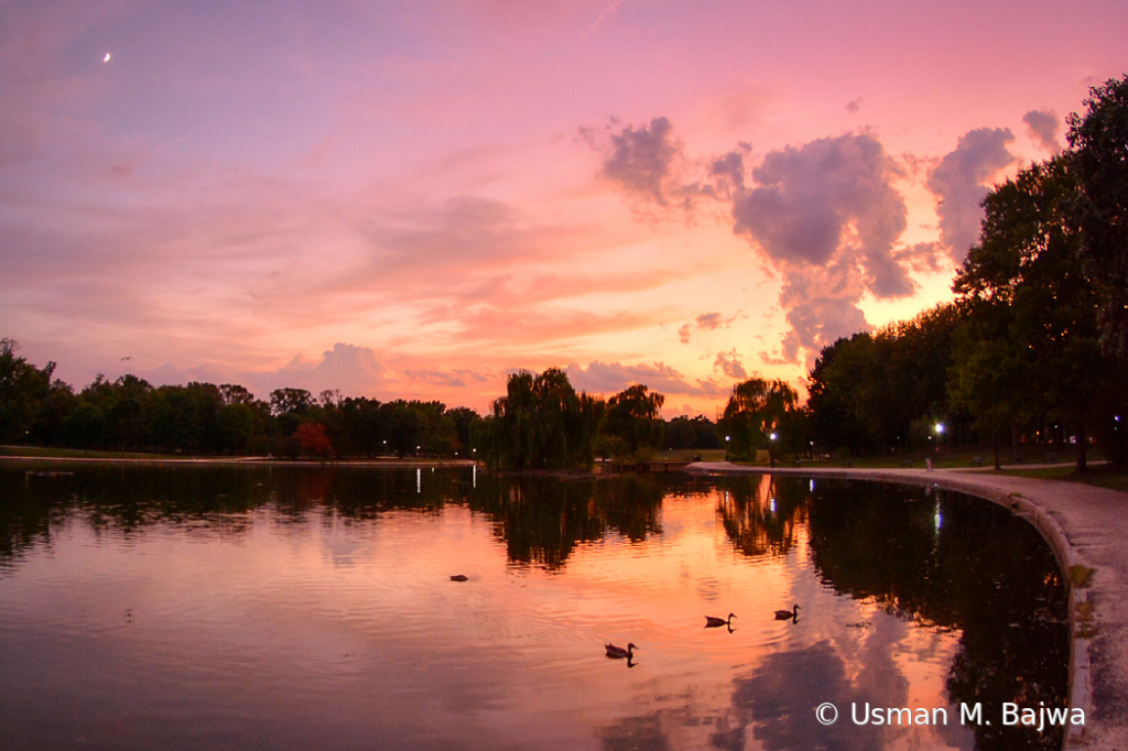 Three Ducks Pond