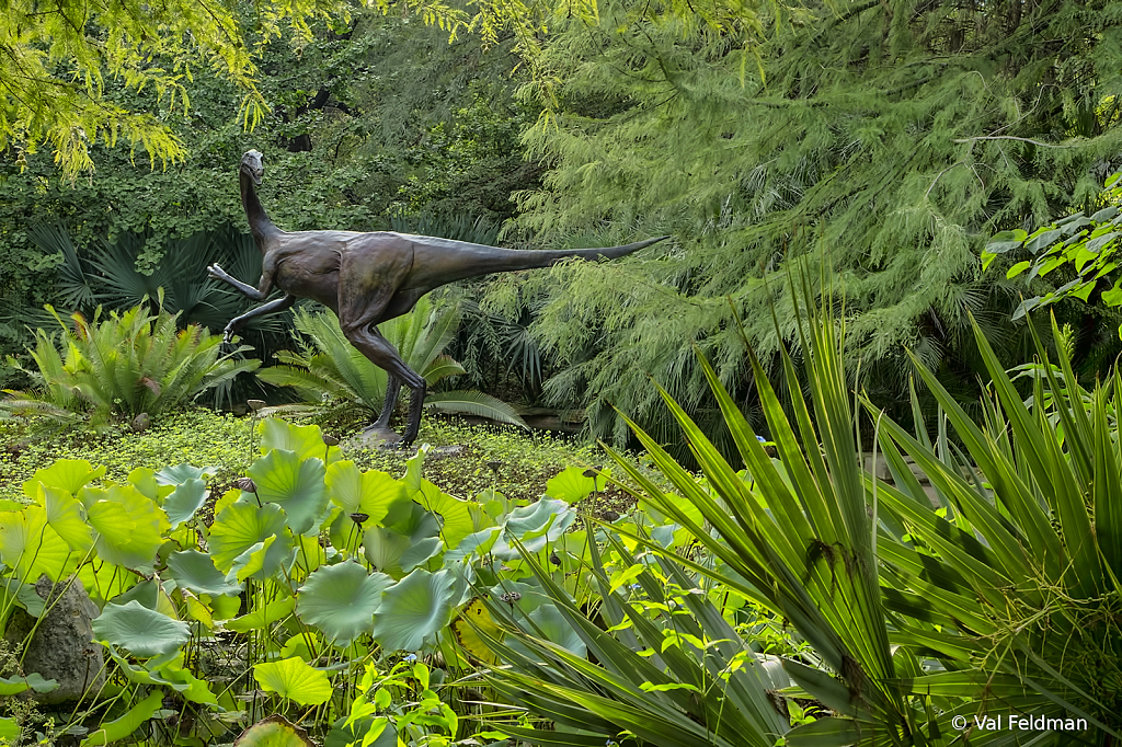 Dino in the Garden