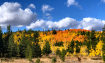 Fall in the canyo...