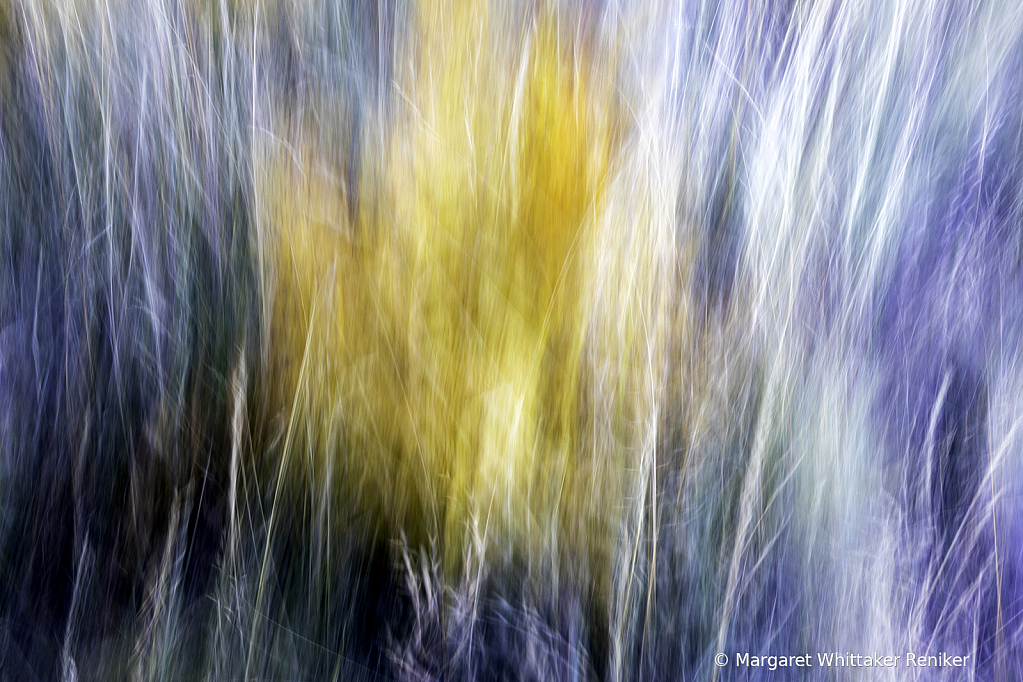 Aspen Corner Artistic Grass & Fern - ID: 15748739 © Margaret Whittaker Reniker