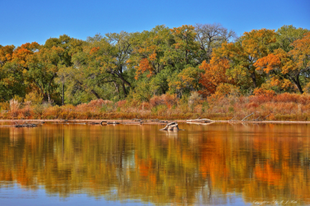 Paseo del Bosque - Rio Grande