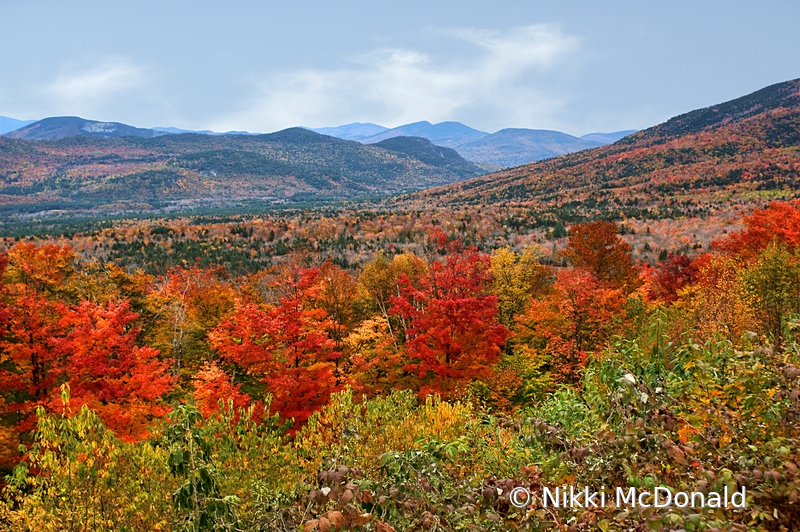 White Mountain Autumn