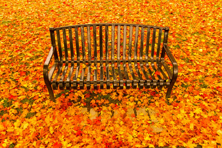 Surrounded by Autumn