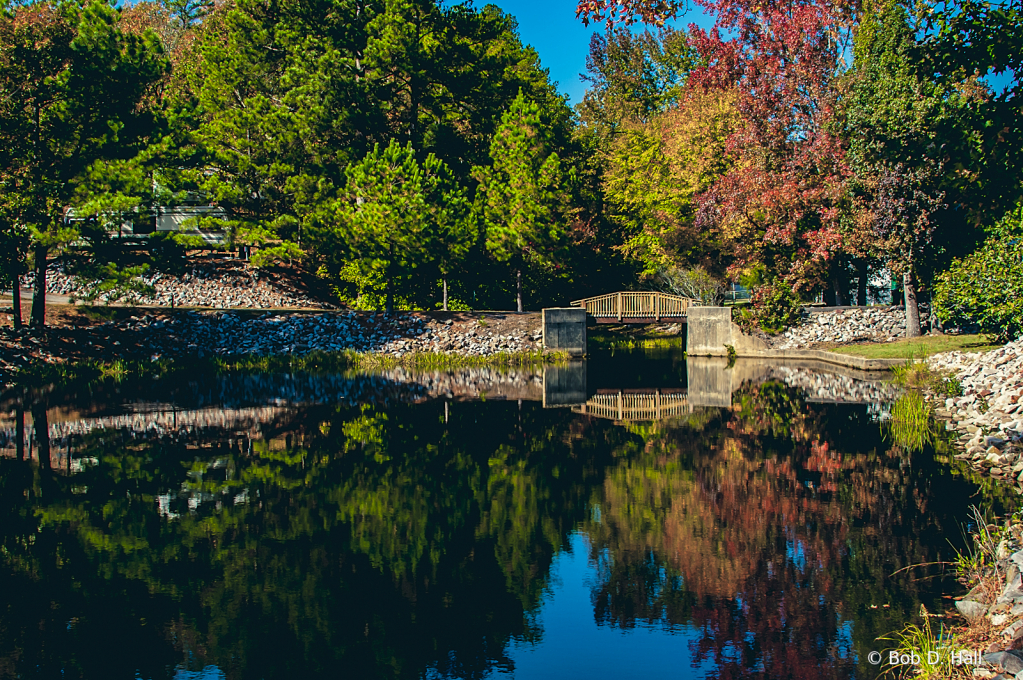 Fall Reflected