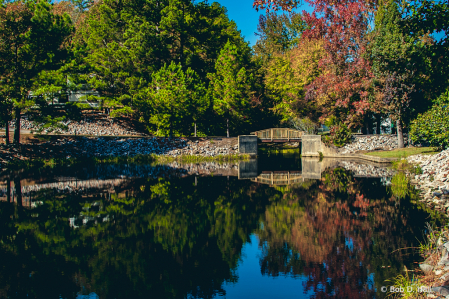 Fall Reflected