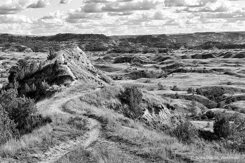 Boicourt trail TRNP North Dakota - ID: 15749622 © Roxanne M. Westman