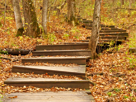 Winding Stairs