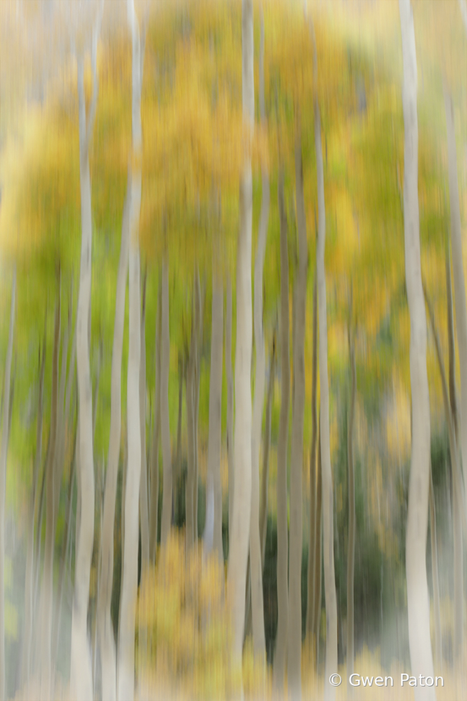 Aspen in Abstract