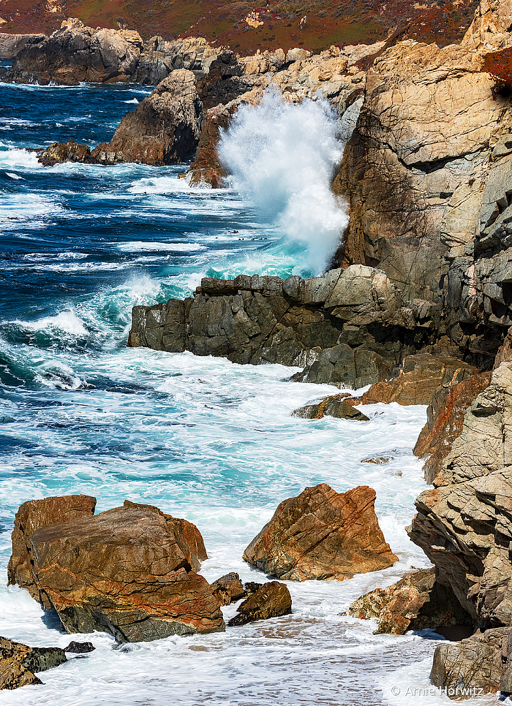 Garrapata State Park, Big Sur