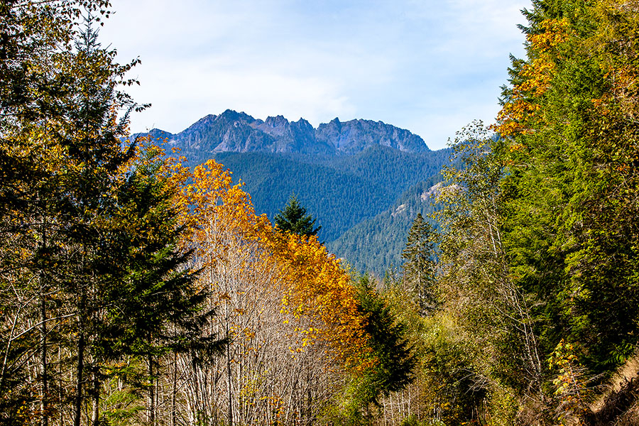 Fall View - ID: 15750626 © william (. Dodge