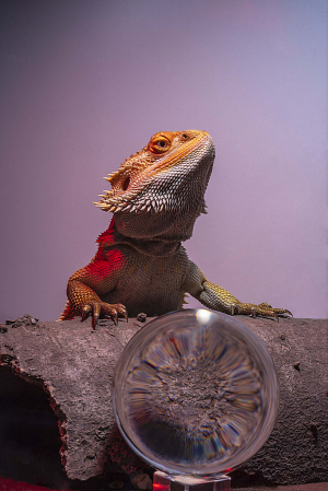 Puff the Magic Dragon