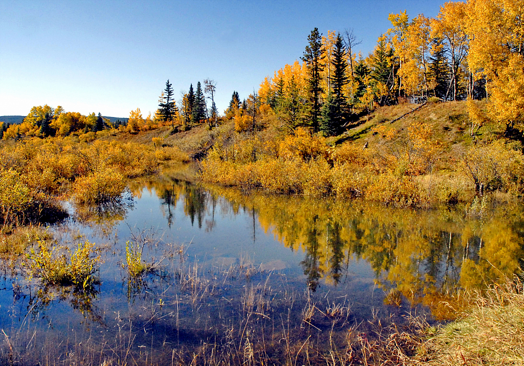 Fall in the Foothills