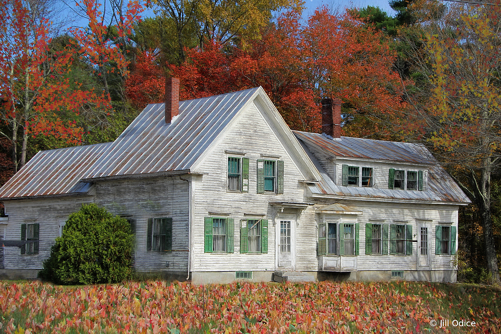 This Old House