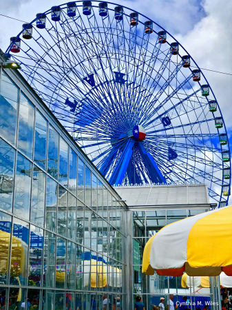 Ferris Wheel @Texas State Fair