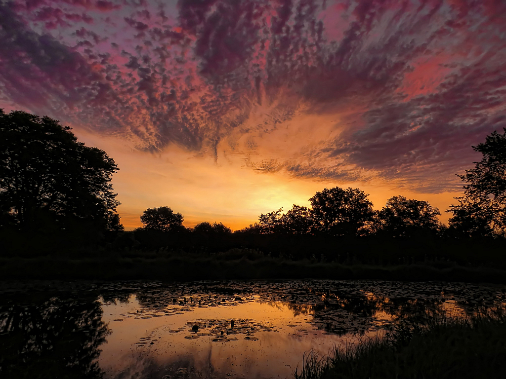 Greenbelt Pond At Sunrise