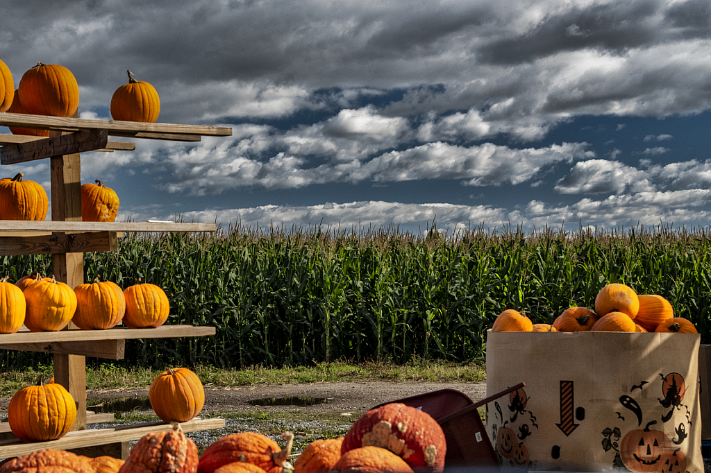 Autumn Farm Stand