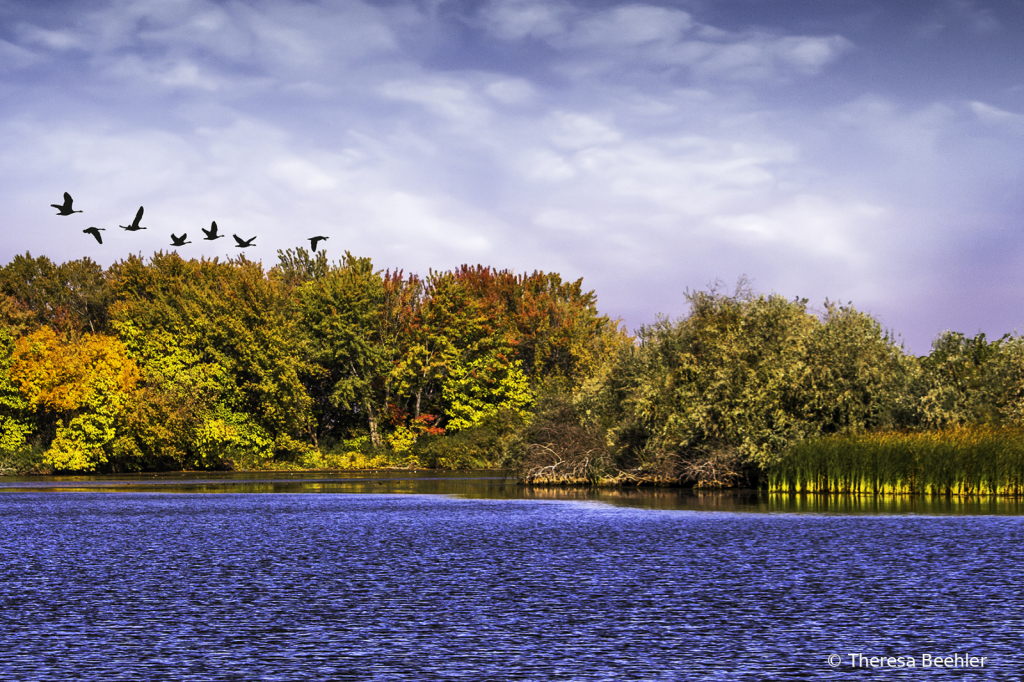 Landscape - Fall on the Columbia River