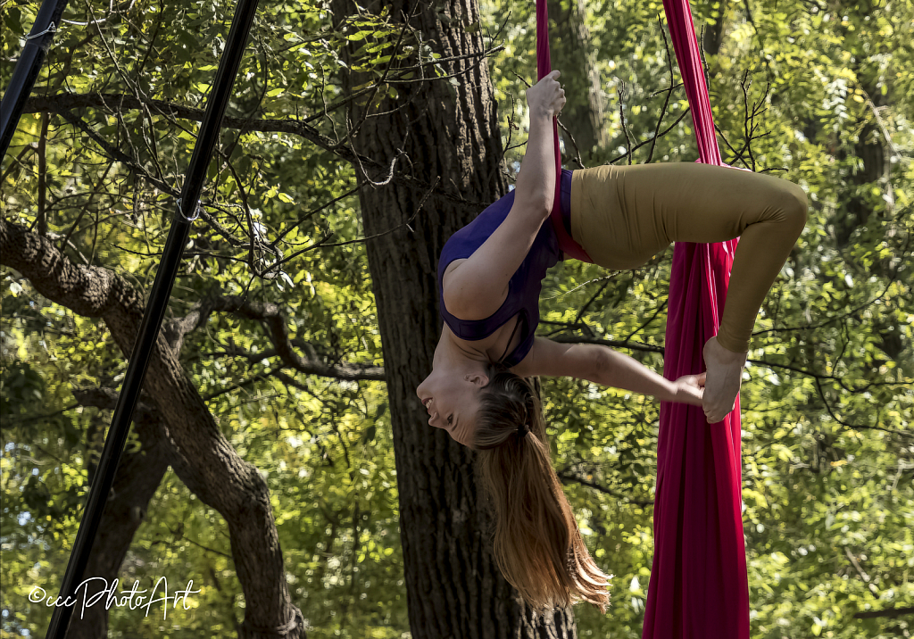 Forest Dancer - ID: 15752044 © Candice C. Calhoun