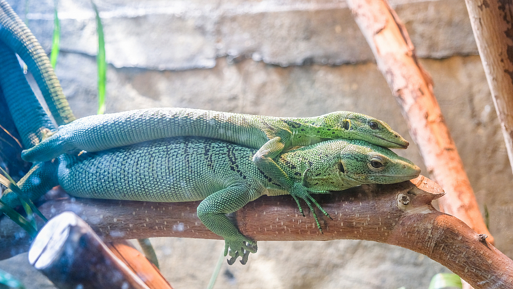 img7