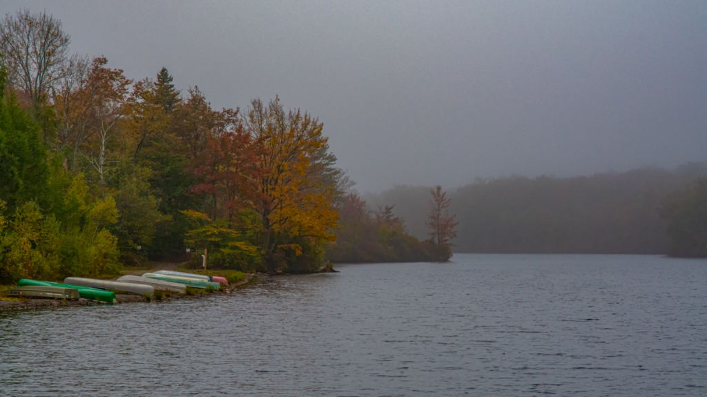 Dreary Autumn Morning