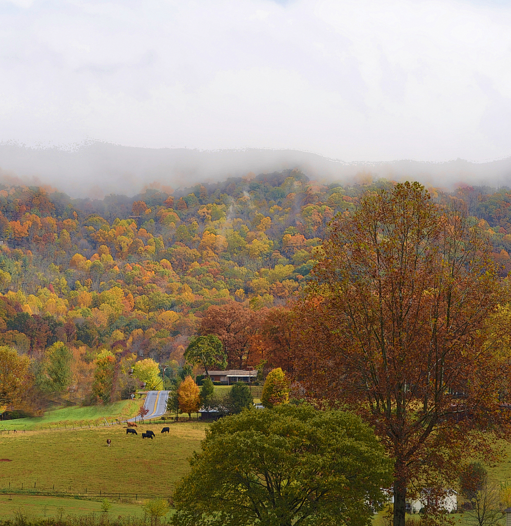 Fall in the Smoky Mountain foothills - ID: 15752243 © SHIRLEY MARGUERITE W. BENNETT