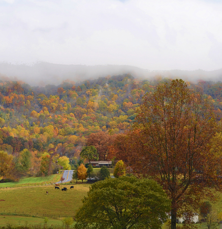 Fall in the Smoky Mountain foothills