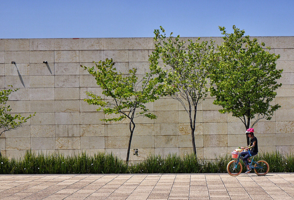 The cyclist