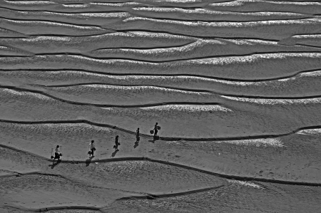 Travellers on the Sandbank