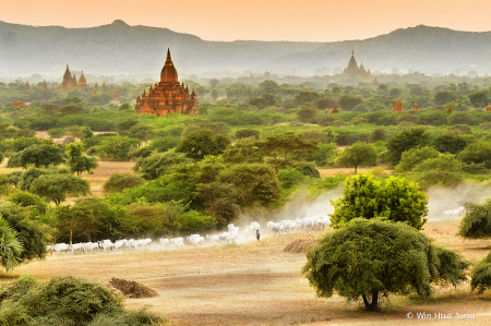 The evening scenery at Bagan