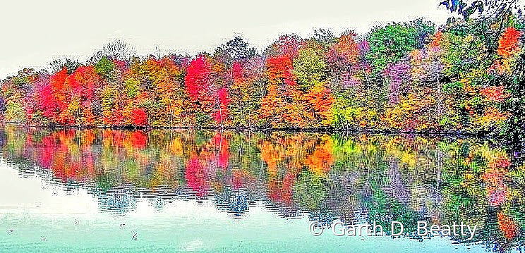 Fall Colors #1