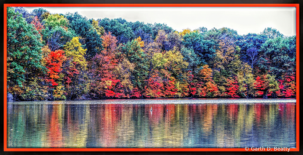 Fall Colors  #2