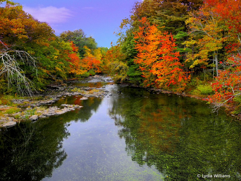 Fall on the Cochecho - ID: 15756205 © Lydia Williams