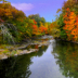 © Lydia Williams PhotoID # 15756205: Fall on the Cochecho