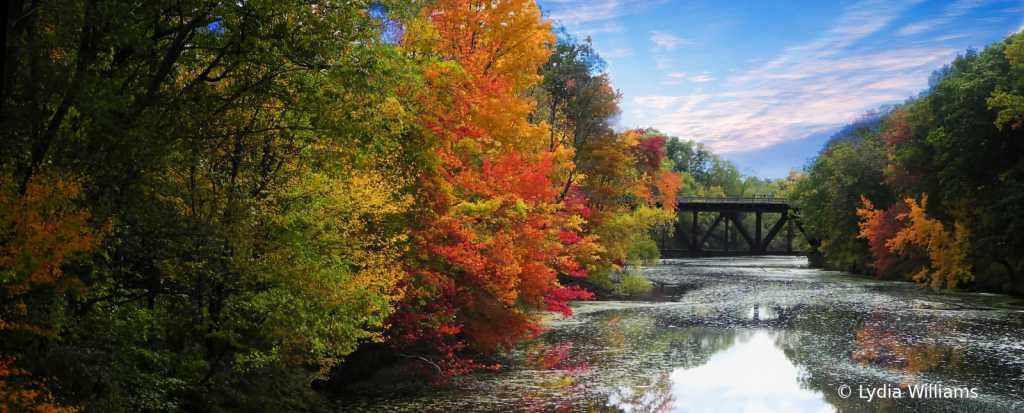 Fall on the Cochecho 2 - ID: 15756206 © Lydia Williams