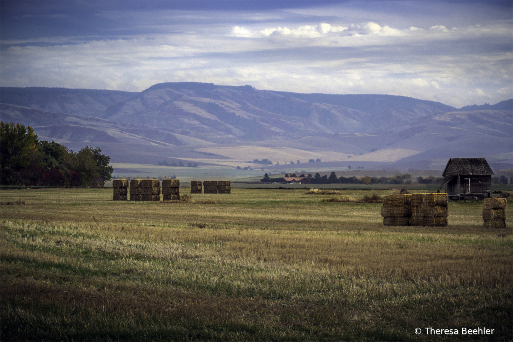 Landscape - Walla Walla Blue Mountains