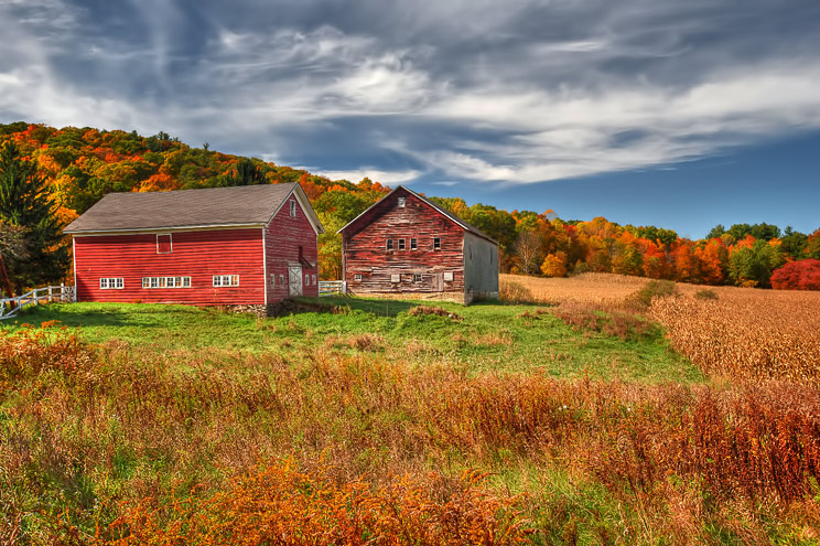 Country Barns In Fall