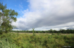 Vastness