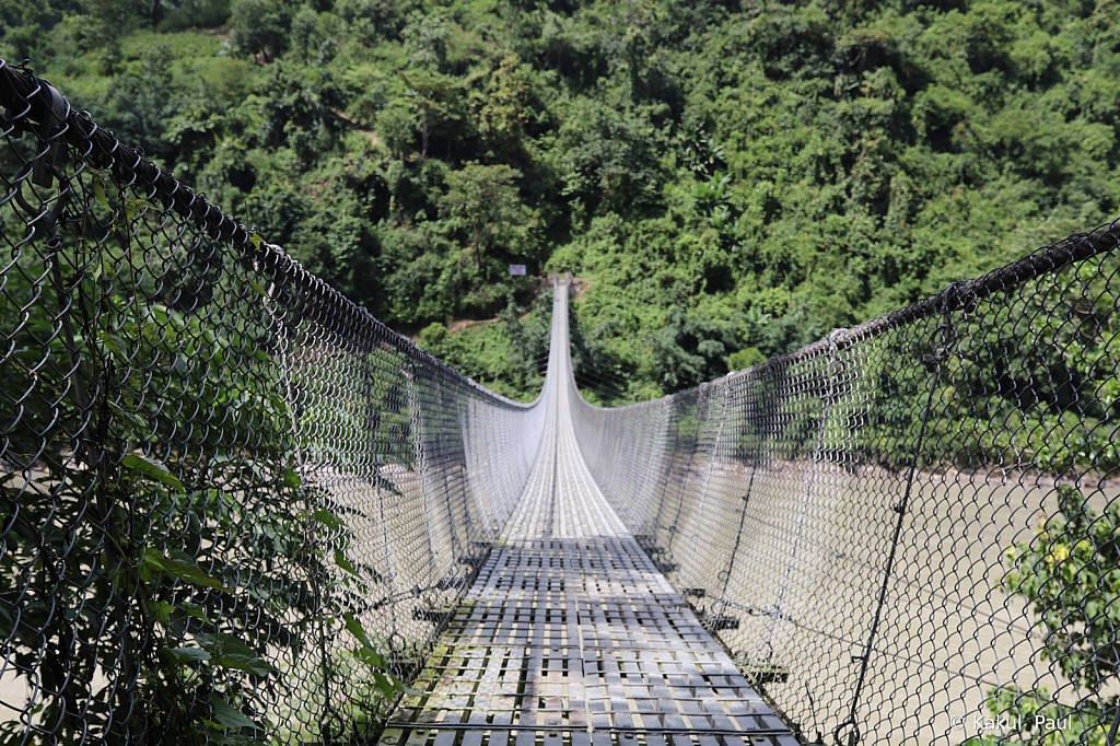 Hanging Bridges