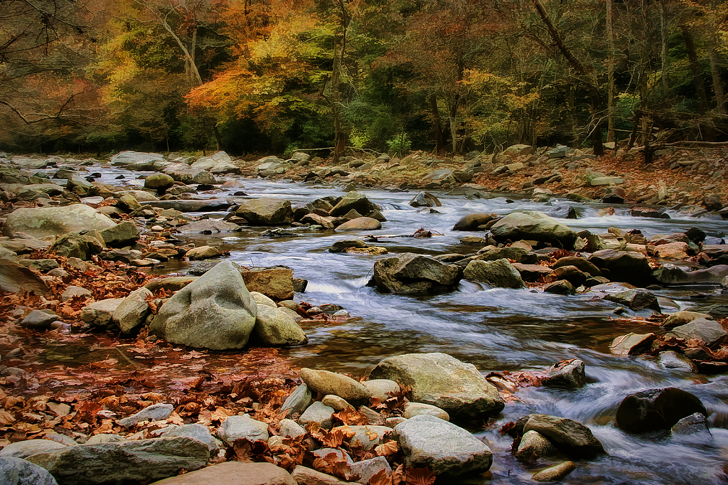 Smoky Mountain Stream