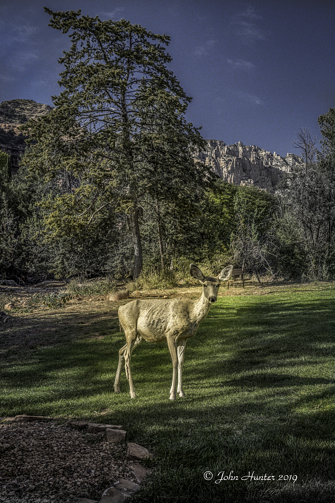 Enchantments - ID: 15757348 © John E. Hunter