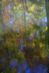 Autumn Reflection...