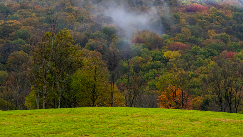 A Little Autumn Mist